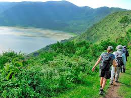 5 Days Lake Manyara/ Ngorongoro Crater/ Serengeti Safari